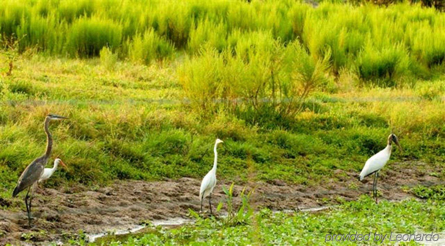 Hampton Inn Okeechobee - Lake Okeechobee Dış mekan fotoğraf