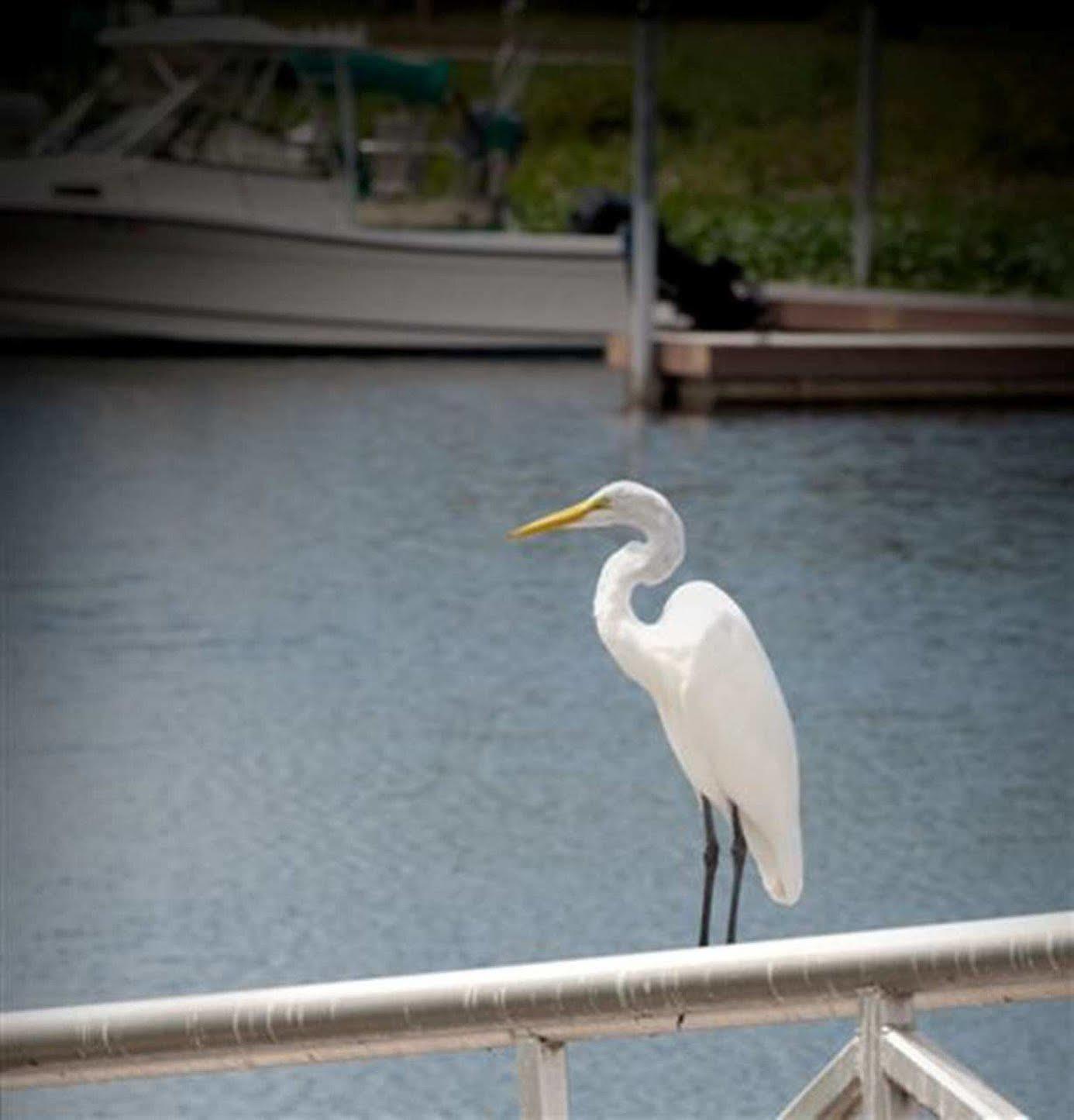 Hampton Inn Okeechobee - Lake Okeechobee Dış mekan fotoğraf
