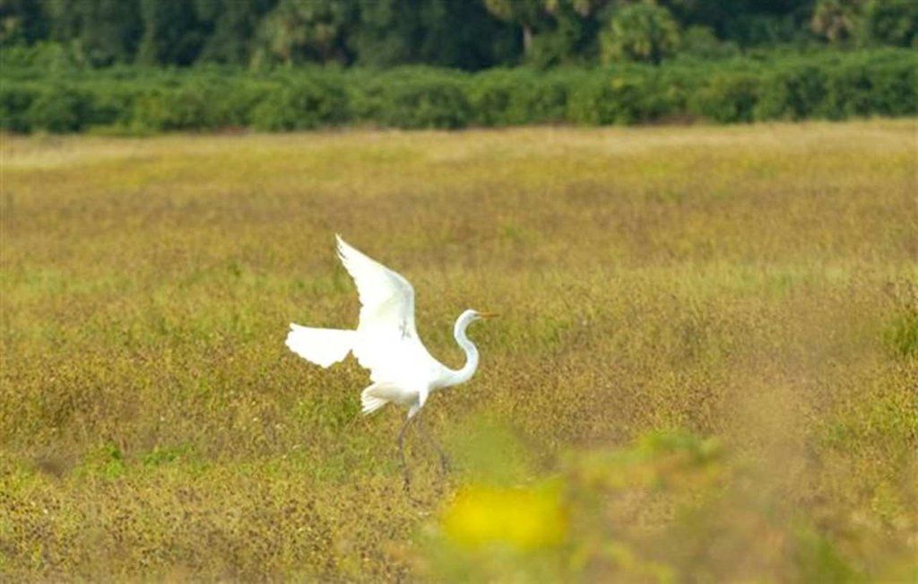 Hampton Inn Okeechobee - Lake Okeechobee Dış mekan fotoğraf